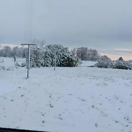 1 Williamstown, Ireland Πανσιόν 3*