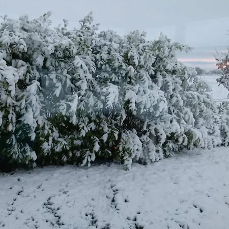 1 Williamstown, Ireland 3*