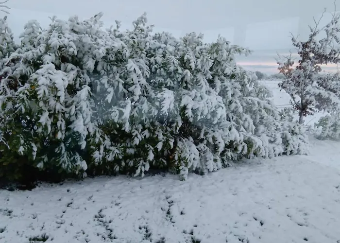 1 Williamstown, Ireland 3*