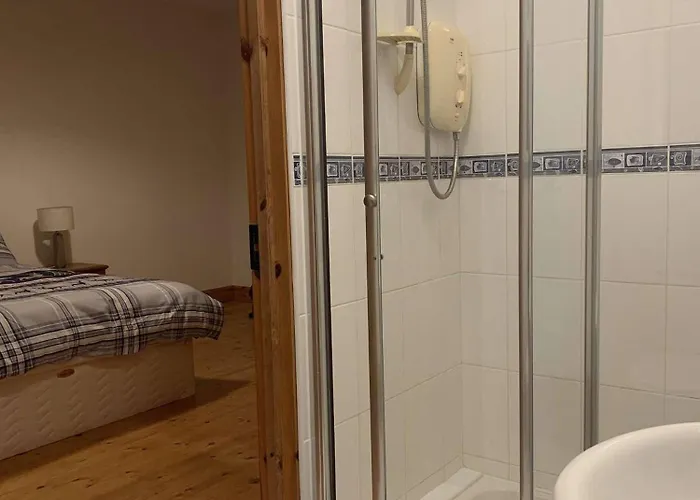 בית הארחה 1 Williamstown, Ireland 3*